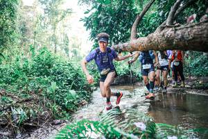 BIB: 
                            <button type="button" onclick="openModal(25457742)" class="btn btn-primary btn-sm float-right btn-popup" data-toggle="modal" data-target=".modal-high-quality">
                        <i class="fas fa-shopping-cart"></i> Add to Cart
                    </button>
                                            <button type="button" onclick="isThisMe(25457742, true)" class="btn btn-success btn-sm float-right btn-popup btn-isme hidden" data-toggle="tooltip" data-placement="bottom" title="นี่คือรูปของคุณใช่ไหม คลิกที่นี่เพื่อเอาเข้าอัลบั้ม">
                        <i class="fas fa-plus"></i> Add to album
                    </button>
                    <button type="button" onclick="isThisMe(25457742, false)" class="btn btn-warning btn-sm float-right btn-popup btn-isnotme hidden">
                        <i class="fas fa-ban"></i> Remove from album
                    </button>